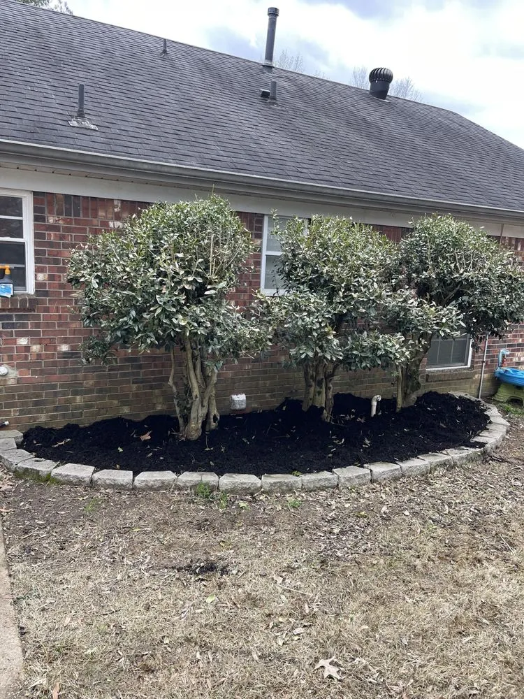 Affordable yard cleanup service in Memphis, TN by Rowe lawncare