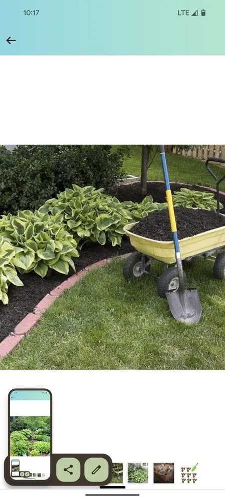 Custom residential landscaping for year-round maintenance across Beaver Dam, WI - Rowell Services