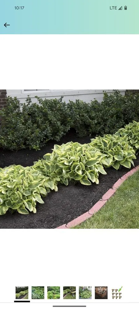 Reliable lawn mowing service in Beaver Dam, WI by Rowell Services