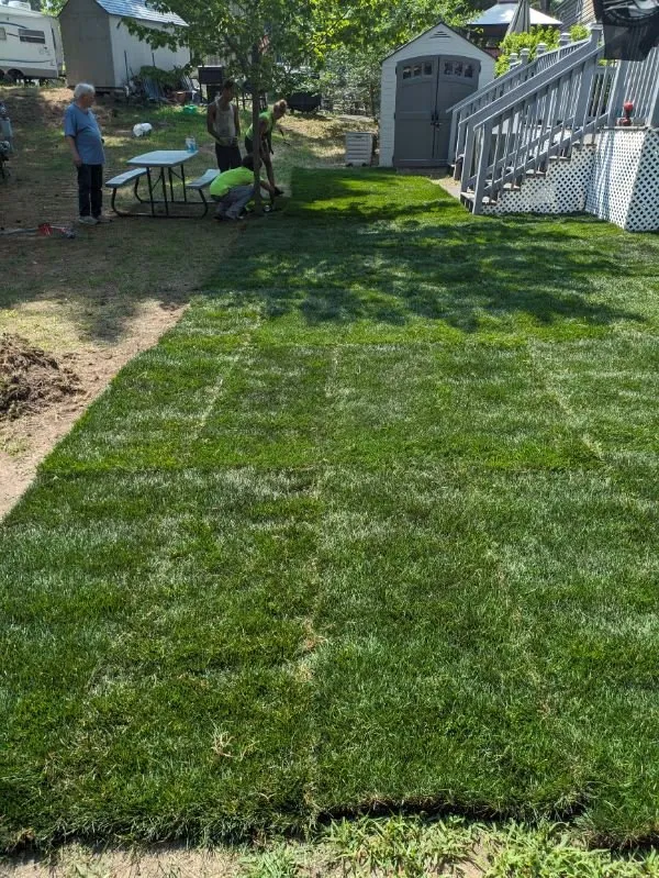Reliable lawn mowing service in Beaver Dam, WI by Rowell Services
