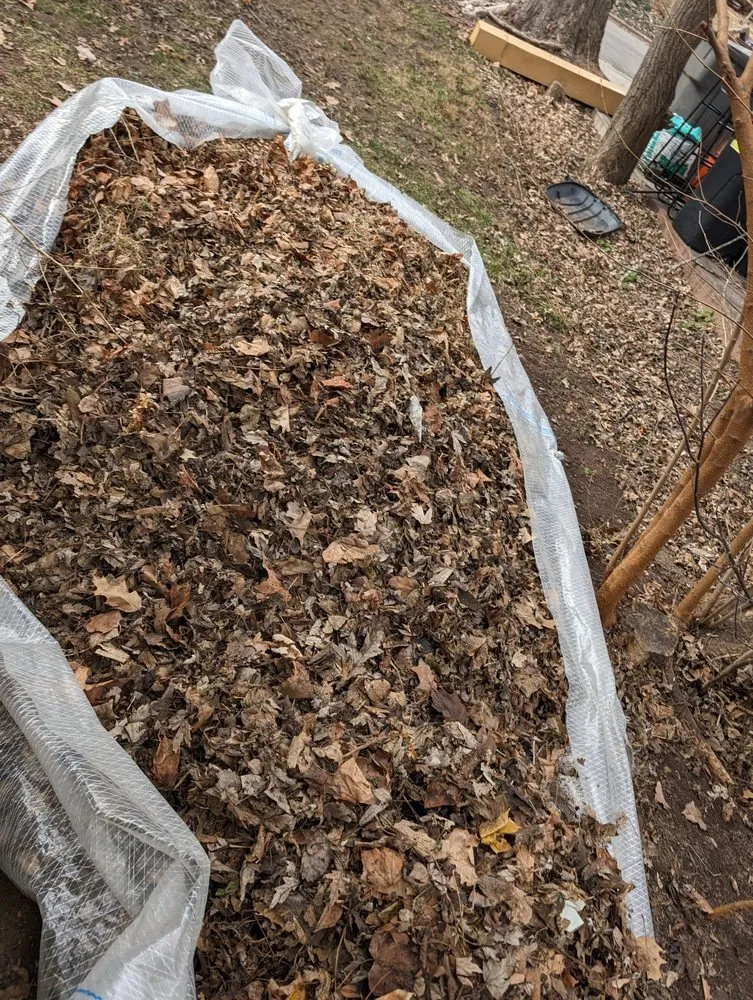 Trusted yard cleanup service for beautiful yards across Beaver Dam, WI - Rowell Services