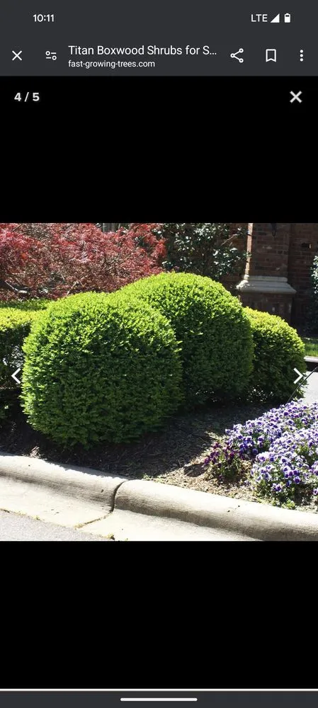 Professional yard maintenance experts serving Beaver Dam, WI - Rowell Services