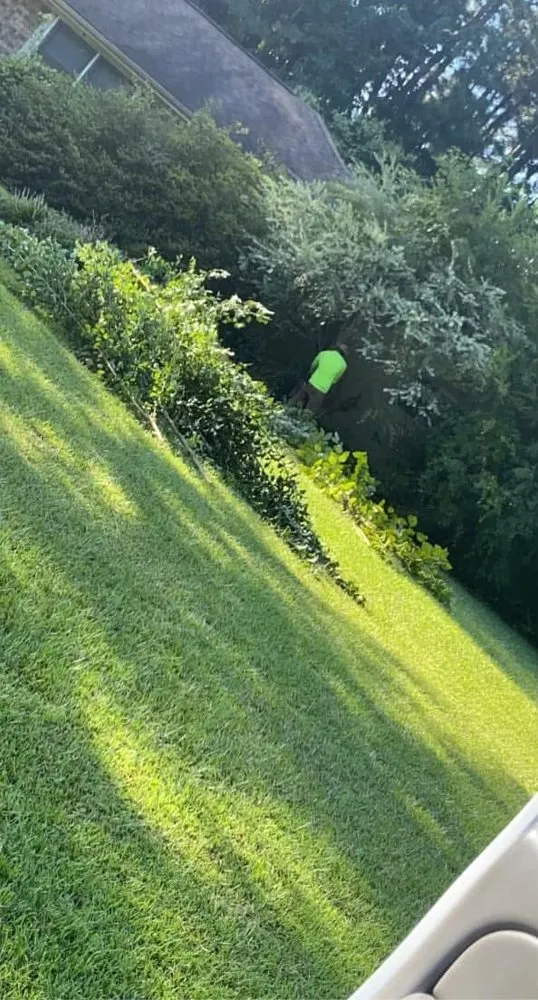 Trusted landscape design for beautiful yards across Fremont, NC - Rowes Hometown Turf