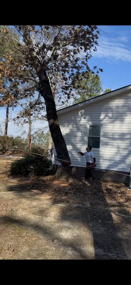 Trusted yard maintenance for year-round maintenance in Fremont, NC by Rowes Hometown Turf