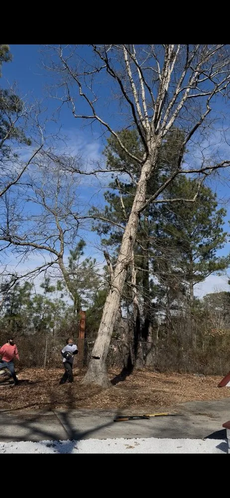 Professional landscaping services in Fremont, NC by Rowes Hometown Turf