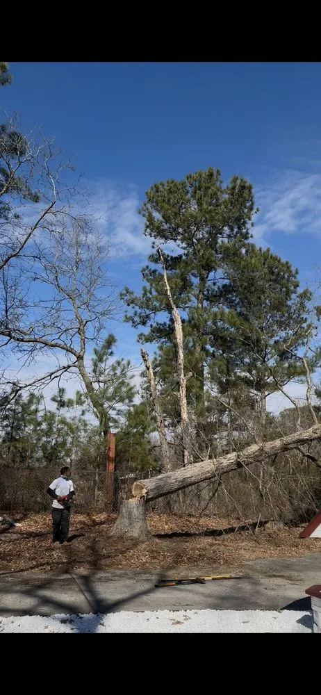 Expert lawn mowing service for beautiful yards across Fremont, NC - Rowes Hometown Turf