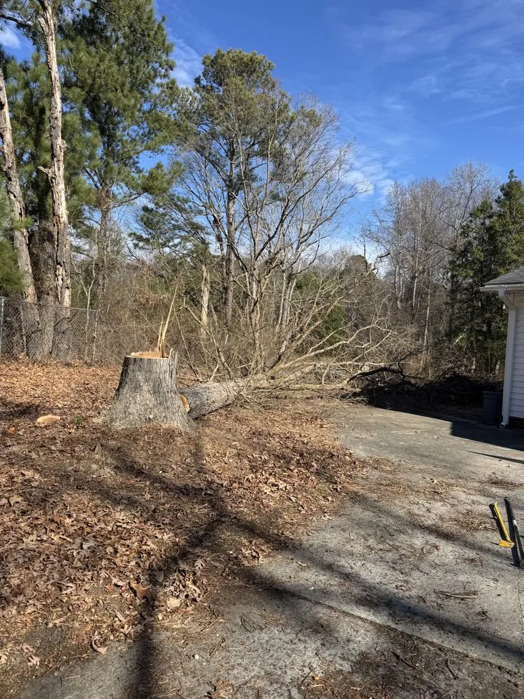 Professional landscape design experts serving Fremont, NC - Rowes Hometown Turf