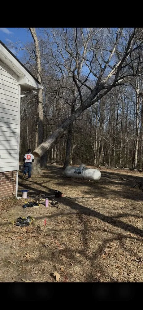 Affordable yard cleanup service for homes across Fremont, NC - Rowes Hometown Turf