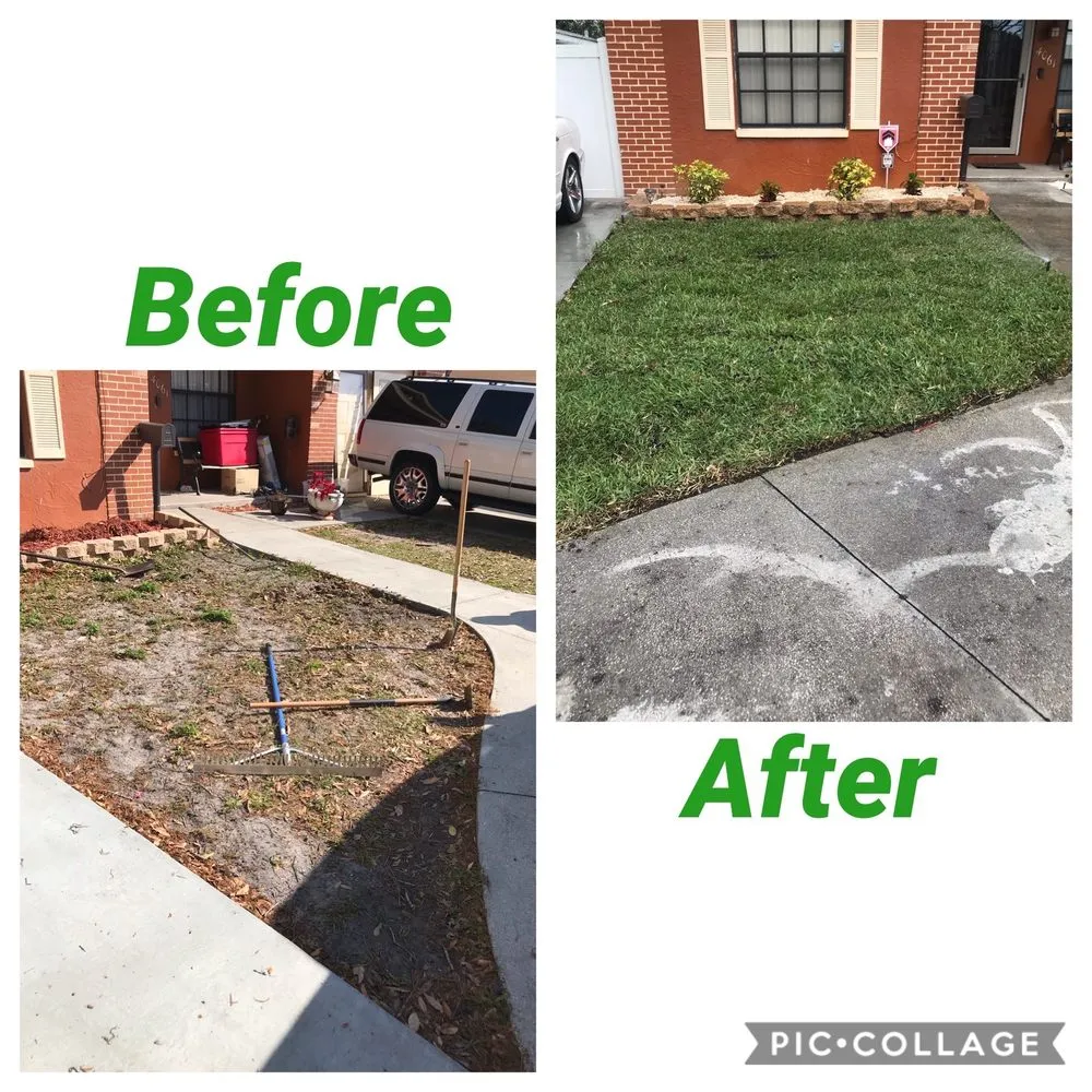 Professional yard cleanup service for year-round maintenance across St. Petersburg, FL - Rowe's Landscaping And Tree Care
