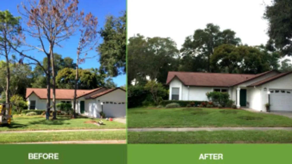 Professional lawn mowing service experts serving St. Petersburg, FL - Rowe's Landscaping And Tree Care