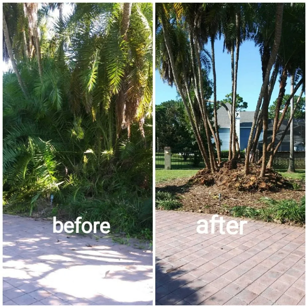 Expert lawn mowing service experts serving St. Petersburg, FL - Rowe's Landscaping And Tree Care