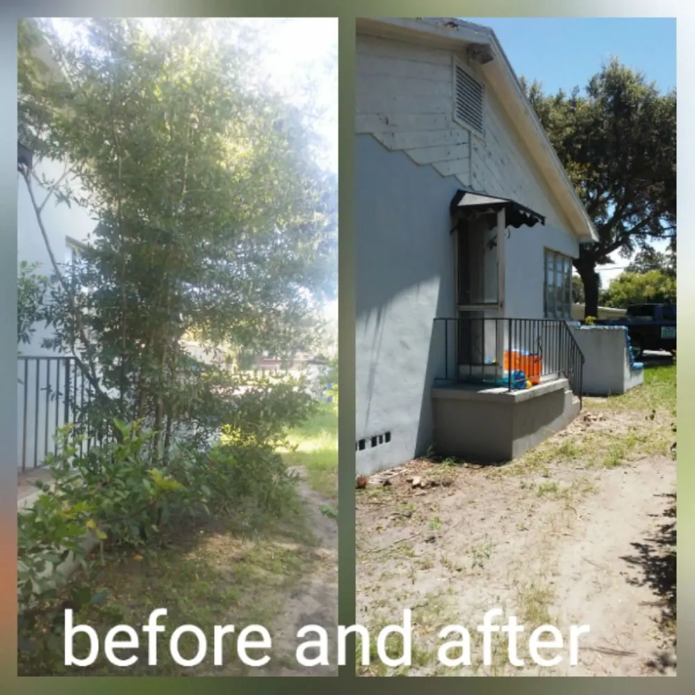 Affordable residential landscaping near you across St. Petersburg, FL - Rowe's Landscaping And Tree Care