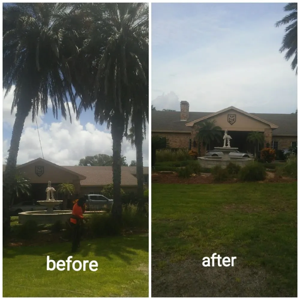 Trusted lawn mowing service for year-round maintenance across St. Petersburg, FL - Rowe's Landscaping And Tree Care