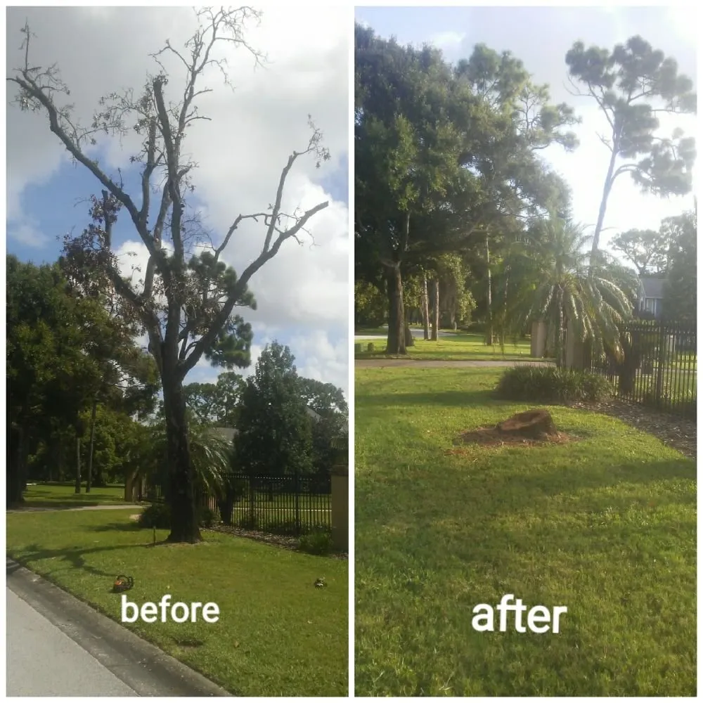 Reliable landscaping services in St. Petersburg, FL - Rowe's Landscaping And Tree Care