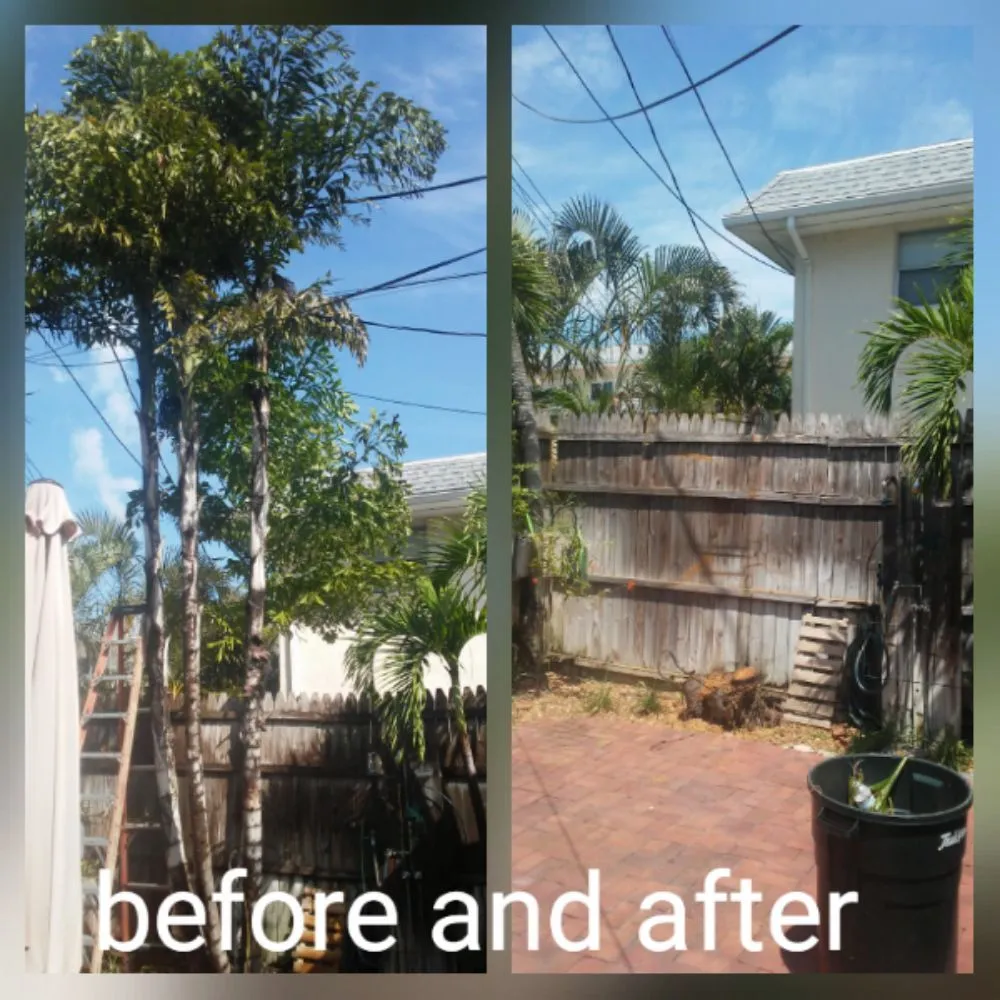 Top-rated landscaping services experts serving St. Petersburg, FL - Rowe's Landscaping And Tree Care