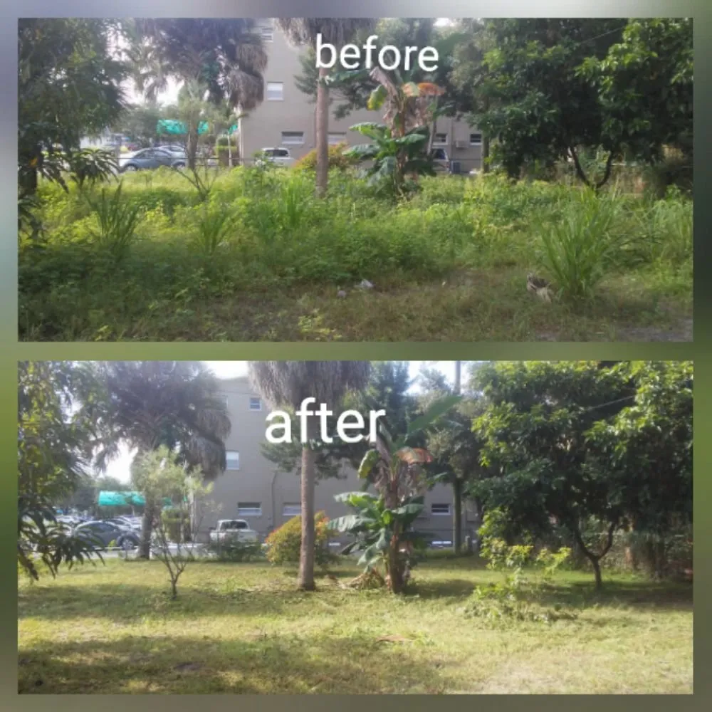 Top-rated lawn mowing service near you in St. Petersburg, FL by Rowe's Landscaping And Tree Care