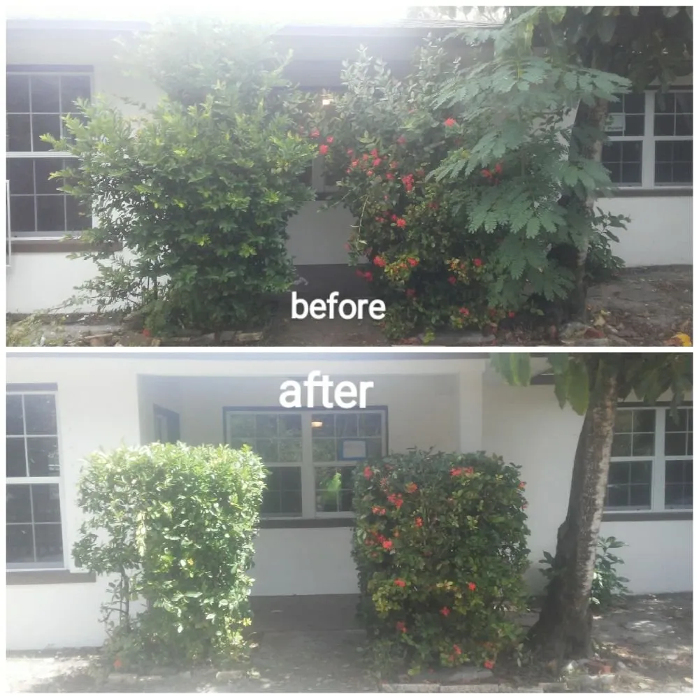 Reliable landscape installation experts serving St. Petersburg, FL - Rowe's Landscaping And Tree Care