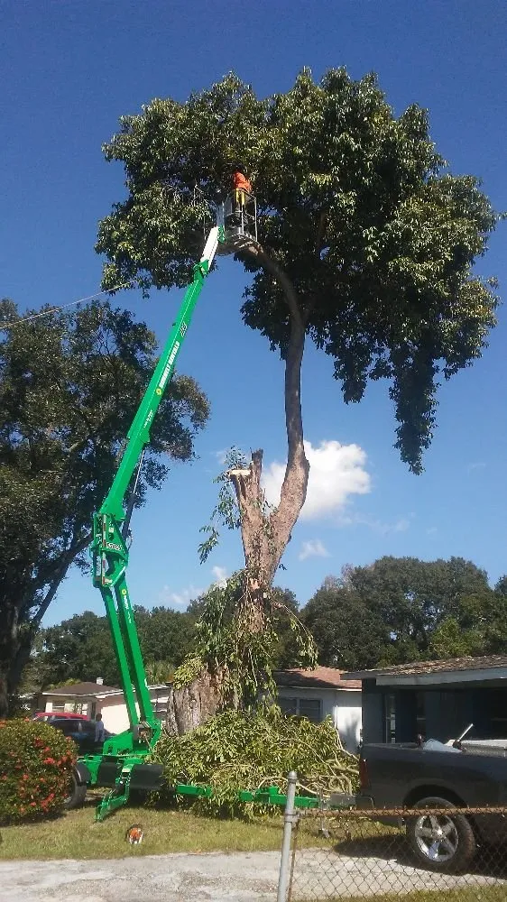 Expert yard cleanup service in St. Petersburg, FL by Rowe's Landscaping And Tree Care