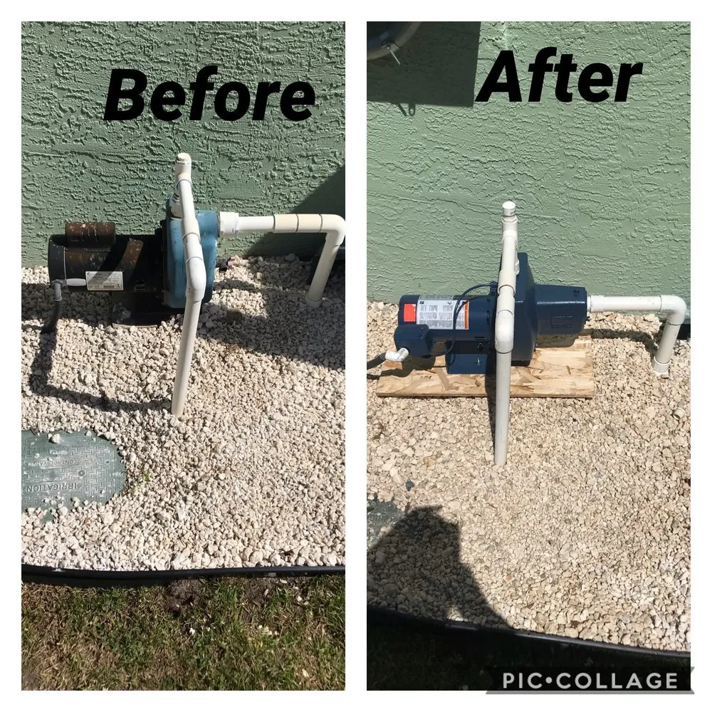 Top-rated garden landscaping for beautiful yards in St. Petersburg, FL by Rowe's Landscaping And Tree Care