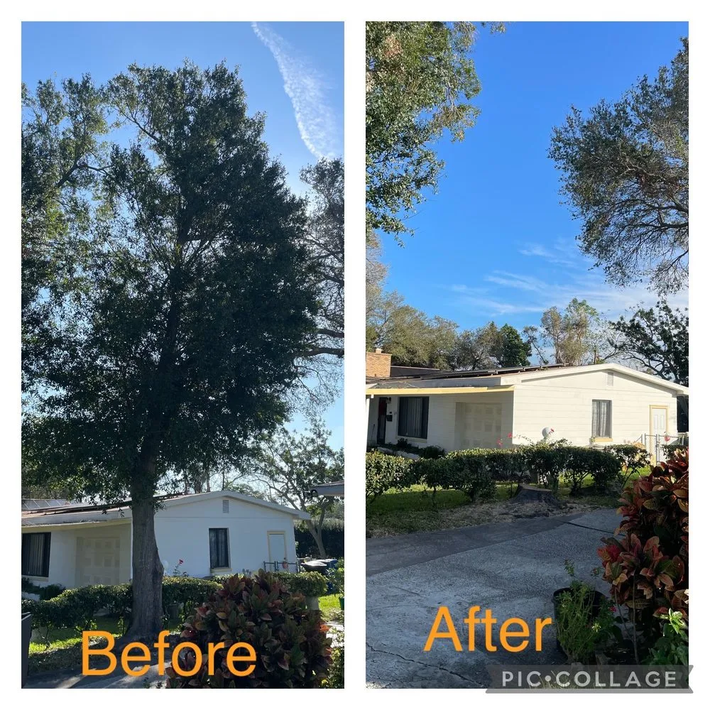 Reliable lawn care service experts serving St. Petersburg, FL - Rowe's Landscaping And Tree Care