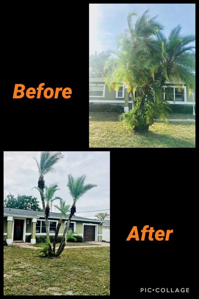 Top-rated landscape installation near you across St. Petersburg, FL - Rowe's Landscaping And Tree Care