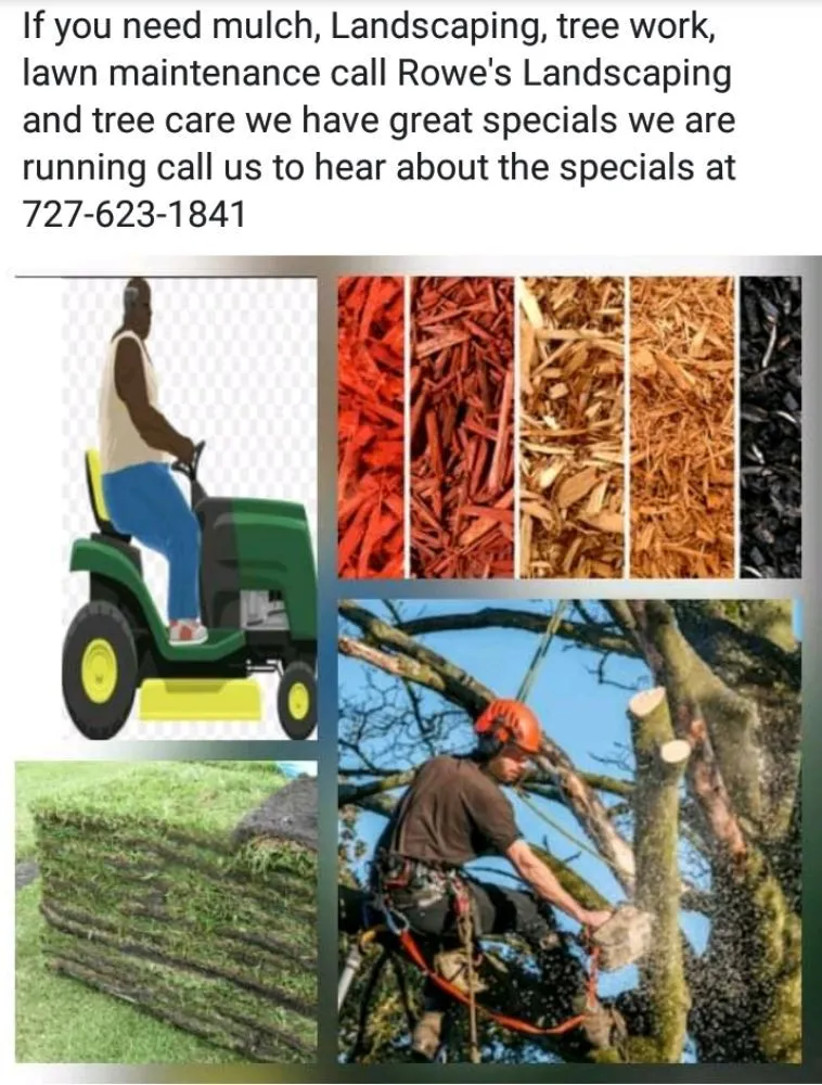 Reliable lawn mowing service for beautiful yards across St. Petersburg, FL - Rowe's Landscaping And Tree Care