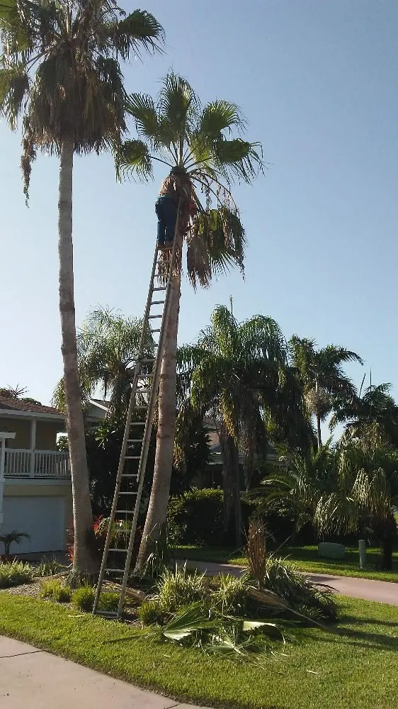 Trusted lawn care service with custom design in St. Petersburg, FL by Rowe's Landscaping And Tree Care