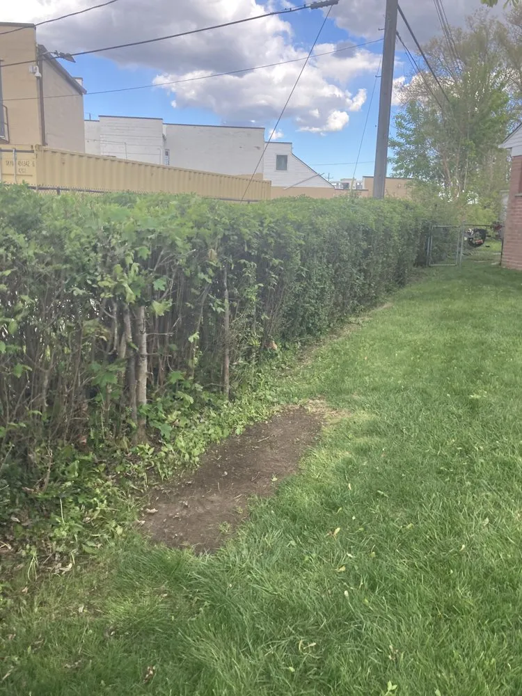 Top-rated lawn care service near you across Oak Park, MI - Rowe's Nurturing Estates