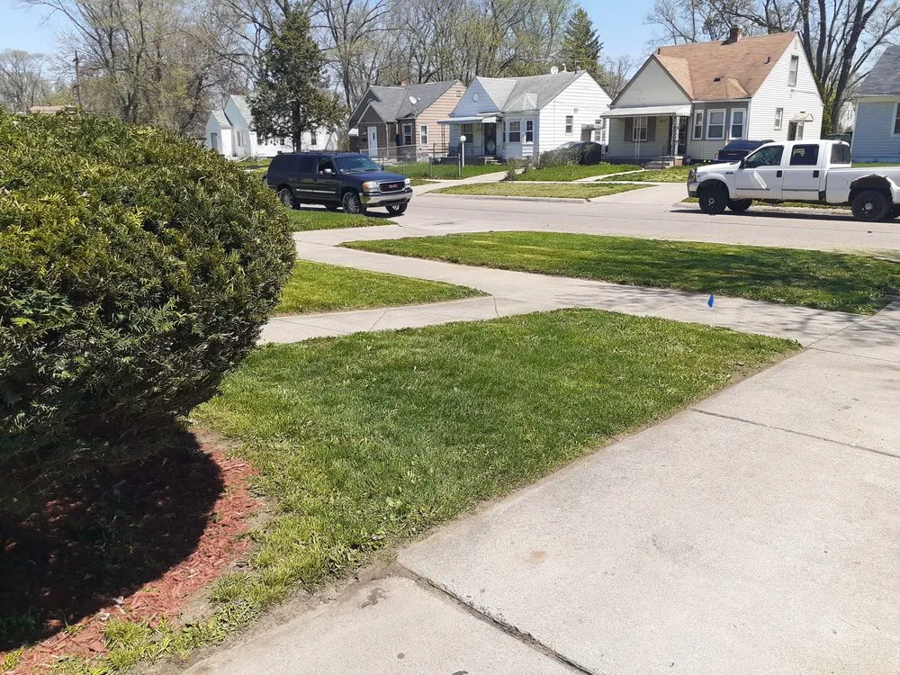 Reliable landscape design in Oak Park, MI - Rowe's Nurturing Estates