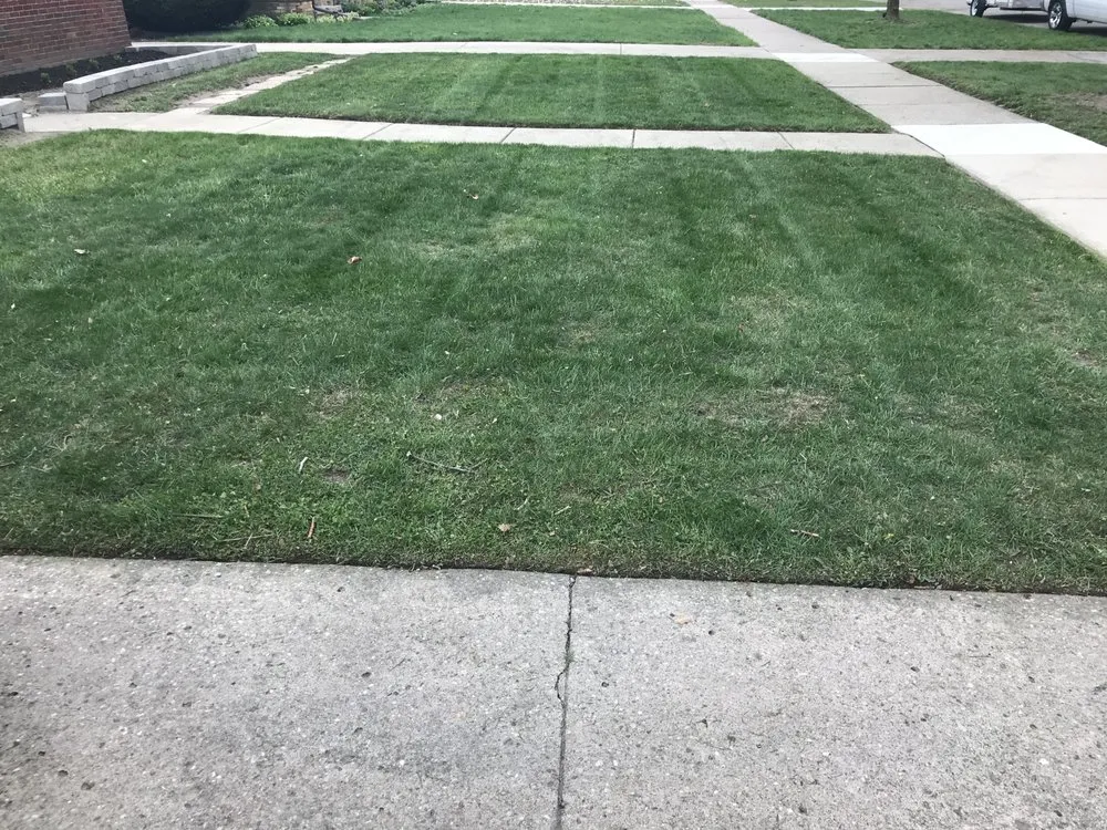 Top-rated yard cleanup service for beautiful yards across Oak Park, MI - Rowe's Nurturing Estates