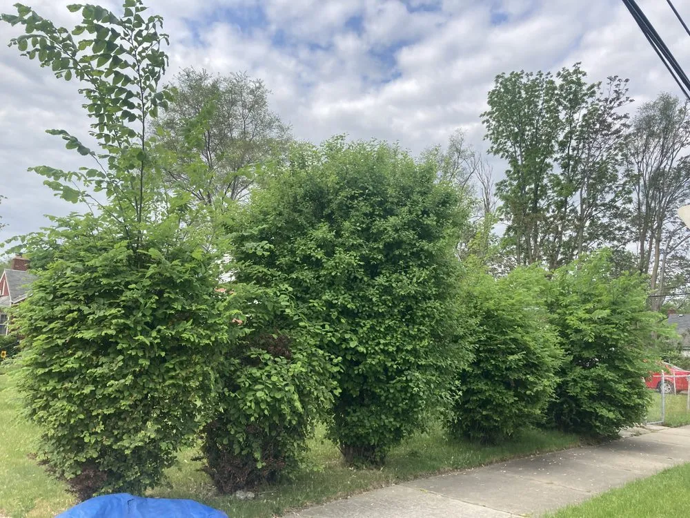 Reliable lawn care service for outdoor upgrades in Oak Park, MI by Rowe's Nurturing Estates