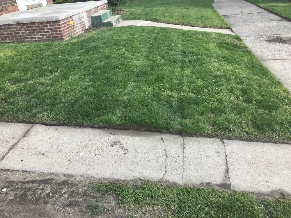 Reliable yard maintenance in Oak Park, MI - Rowe's Nurturing Estates