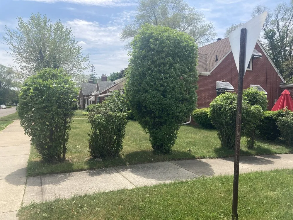 Custom lawn mowing service in Oak Park, MI by Rowe's Nurturing Estates