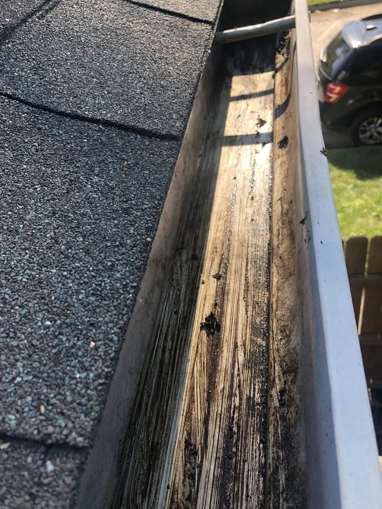 Affordable residential landscaping for beautiful yards across Oak Park, MI - Rowe's Nurturing Estates