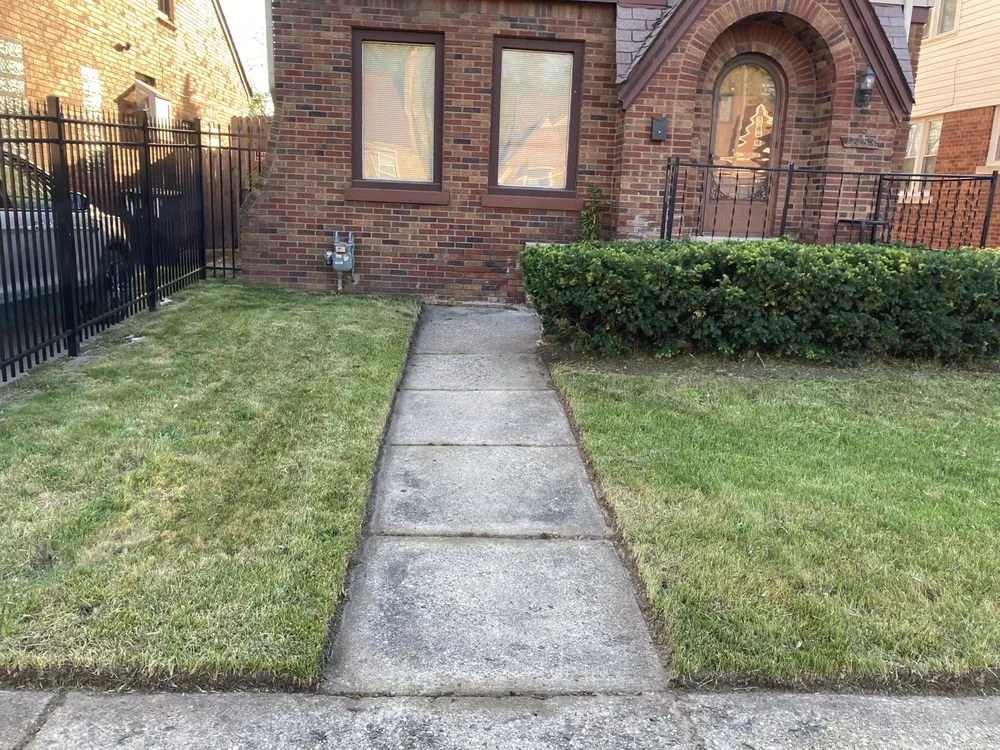 Top-rated yard cleanup service experts serving Oak Park, MI - Rowe's Nurturing Estates