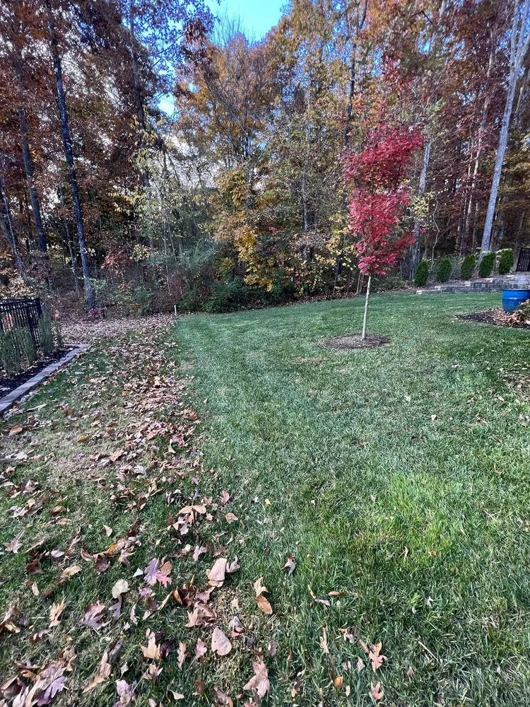 Affordable landscape design in Fort Oglethorpe, GA by Rowland Outdoor Services