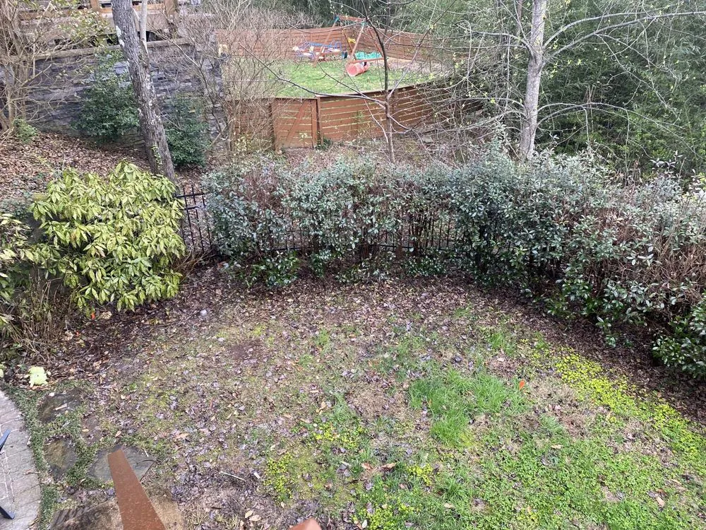 Trusted yard maintenance in Fort Oglethorpe, GA by Rowland Outdoor Services