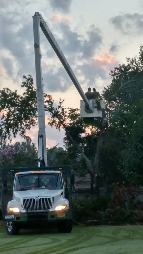 Trusted lawn care service for beautiful yards across Cabot, AR - Rowland Tree Service