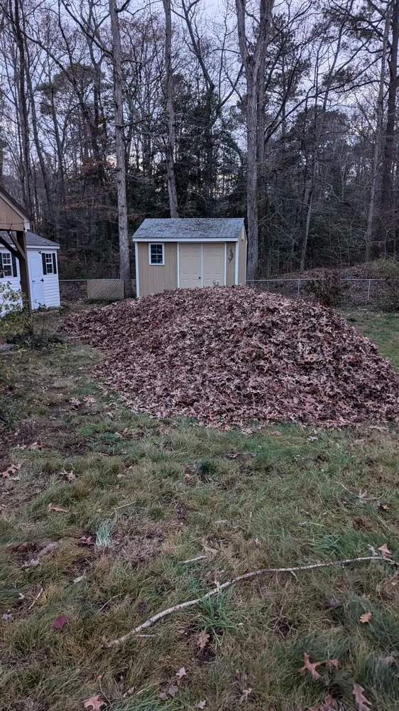 Trusted yard cleanup service for year-round maintenance across Henrico, VA - Rowsky Yard and Home Services