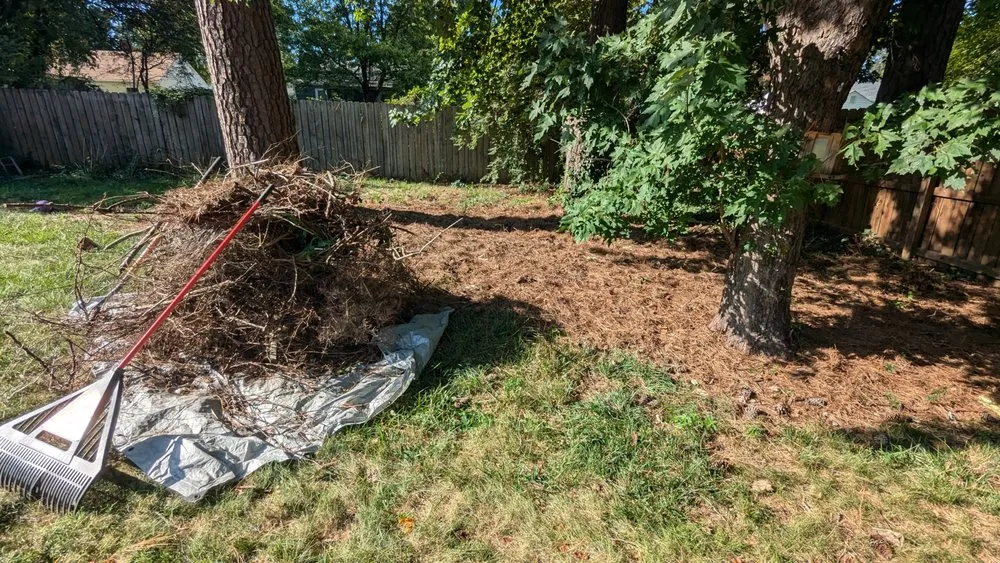 Affordable lawn care service for year-round maintenance in Henrico, VA by Rowsky Yard and Home Services