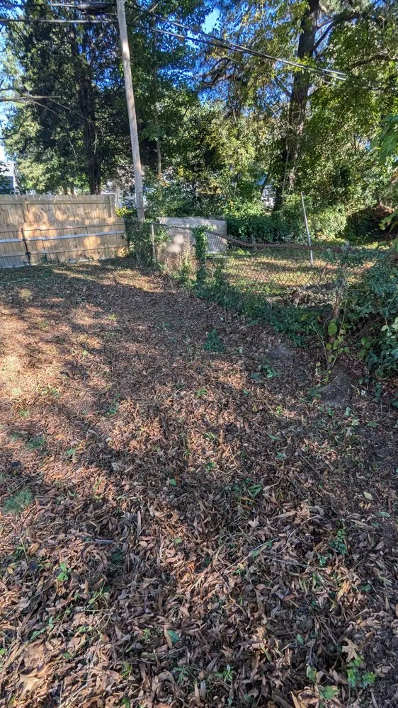 Professional yard cleanup service for outdoor upgrades across Henrico, VA - Rowsky Yard and Home Services