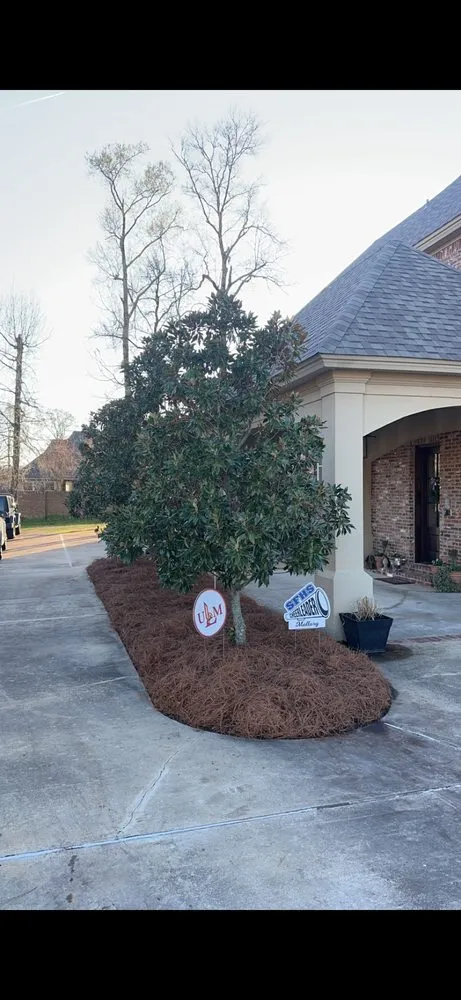 Professional lawn care service experts serving Monroe, LA - Rowtons Lawn and Landscaping
