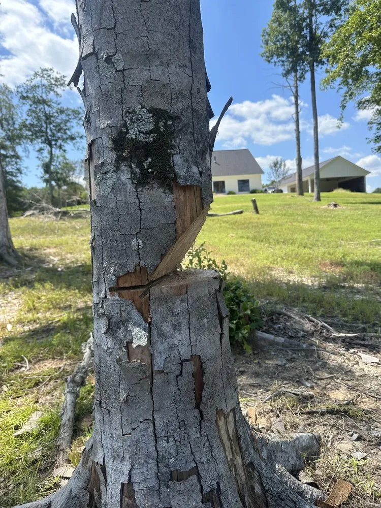 Affordable lawn care service in Monroe, LA - Rowtons Lawn and Landscaping