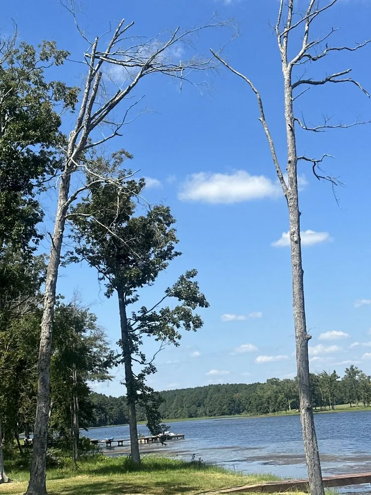 Trusted lawn mowing service near you in Monroe, LA by Rowtons Lawn and Landscaping