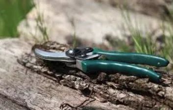 Professional lawn mowing service in Roxbury, CT - Roxbury Landscaping