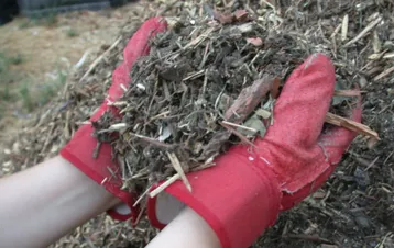 Trusted yard cleanup service in Roxbury, CT - Roxbury Landscaping