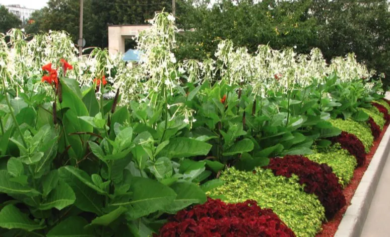 Expert landscape design in Roxbury, CT by Roxbury Landscaping