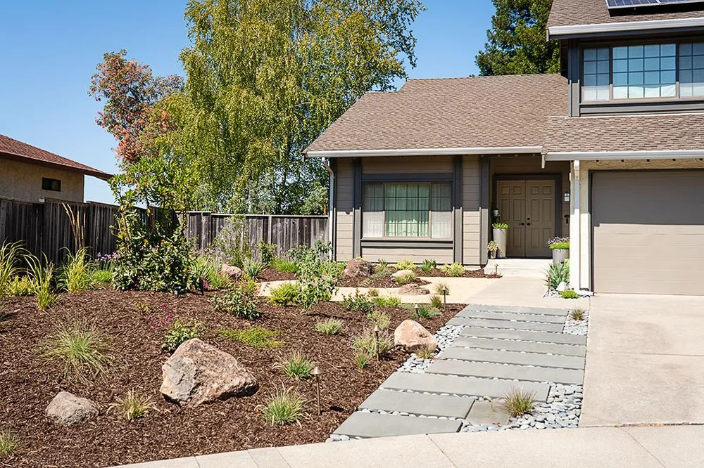 Affordable outdoor landscaping for year-round maintenance in Moraga, CA by Roxy Designs