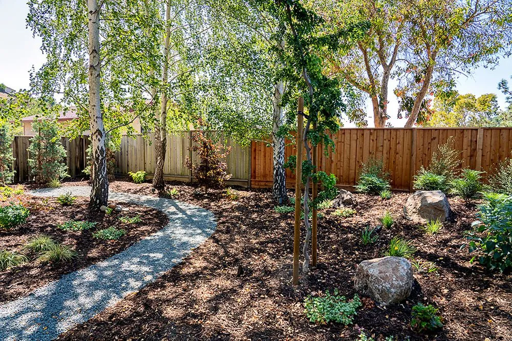 Reliable lawn mowing service near you across Moraga, CA - Roxy Designs