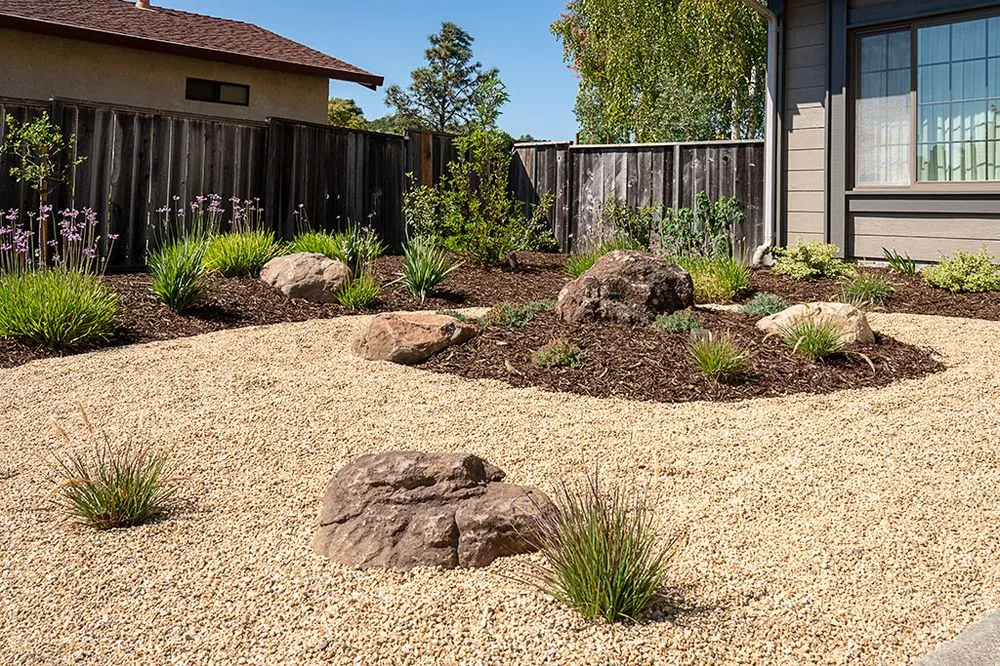 Top-rated landscape design experts serving Moraga, CA - Roxy Designs